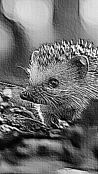 Skamielina