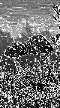 Skamielina