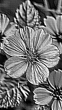 Skamielina