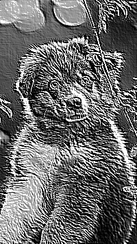 Skamielina