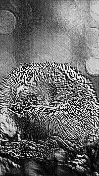 Skamielina