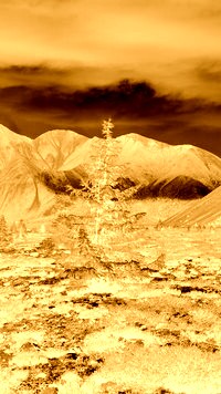 Sepia + Negatyw