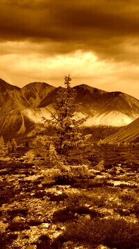 Sepia