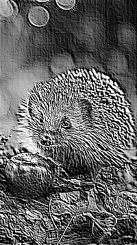Skamielina