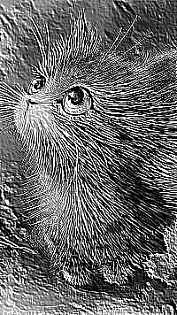 Skamielina