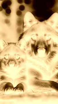 Sepia + Negatyw