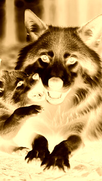 Sepia + Negatyw