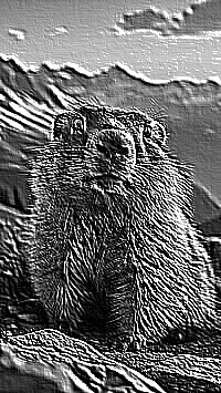 Skamielina