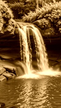 Sepia