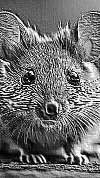 Skamielina