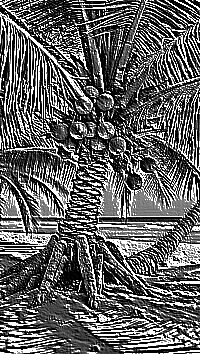Skamielina