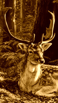 Sepia
