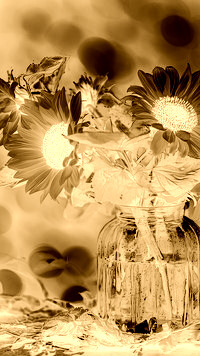 Sepia + Negatyw