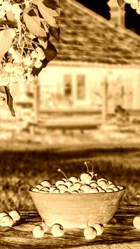Sepia + Negatyw