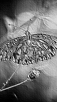 Skamielina