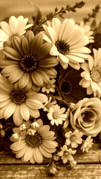 Sepia