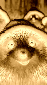 Sepia + Negatyw