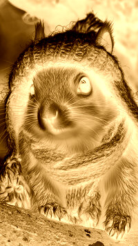 Sepia + Negatyw