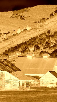 Sepia + Negatyw