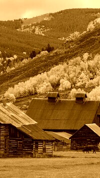 Sepia