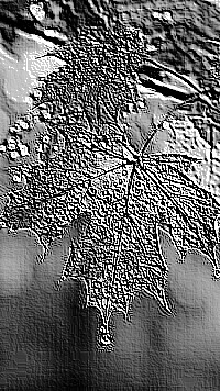 Skamielina