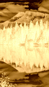 Sepia + Negatyw