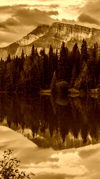 Sepia