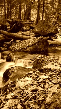 Sepia