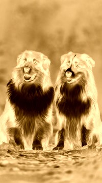 Sepia + Negatyw