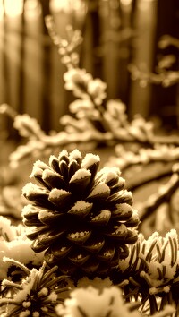 Sepia
