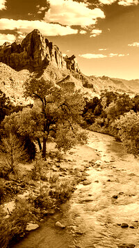 Sepia
