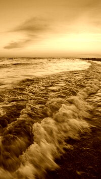 Sepia