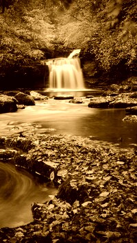 Sepia