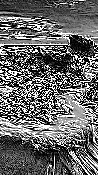 Skamielina