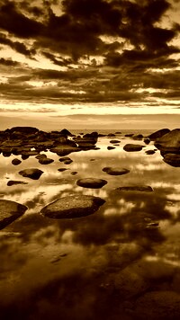 Sepia