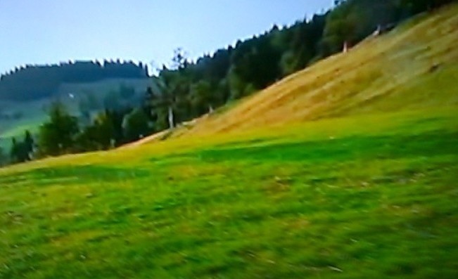 Tapeta