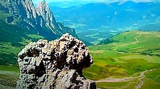 Tapeta