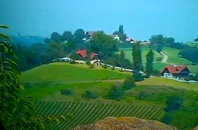 Tapeta