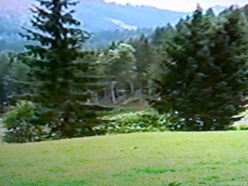 Tapeta