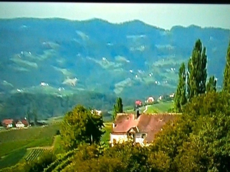 Tapeta