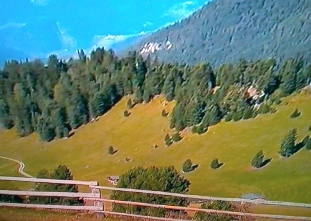 Tapeta