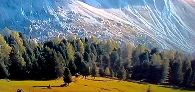 Tapeta