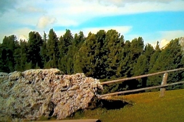 Tapeta