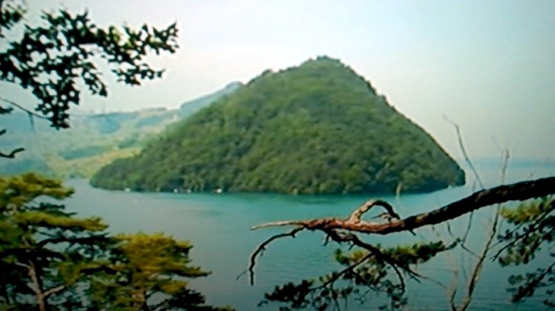 Tapeta