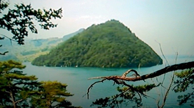 Tapeta