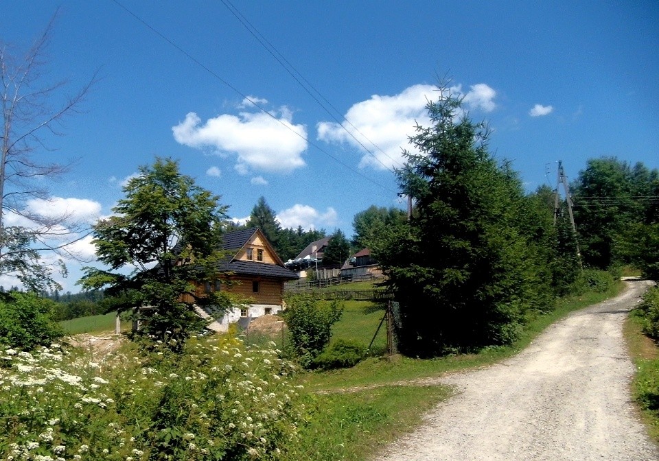 Tapeta