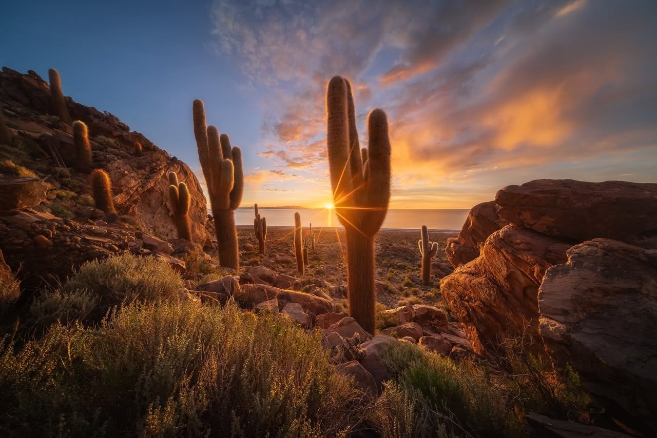 Tapeta