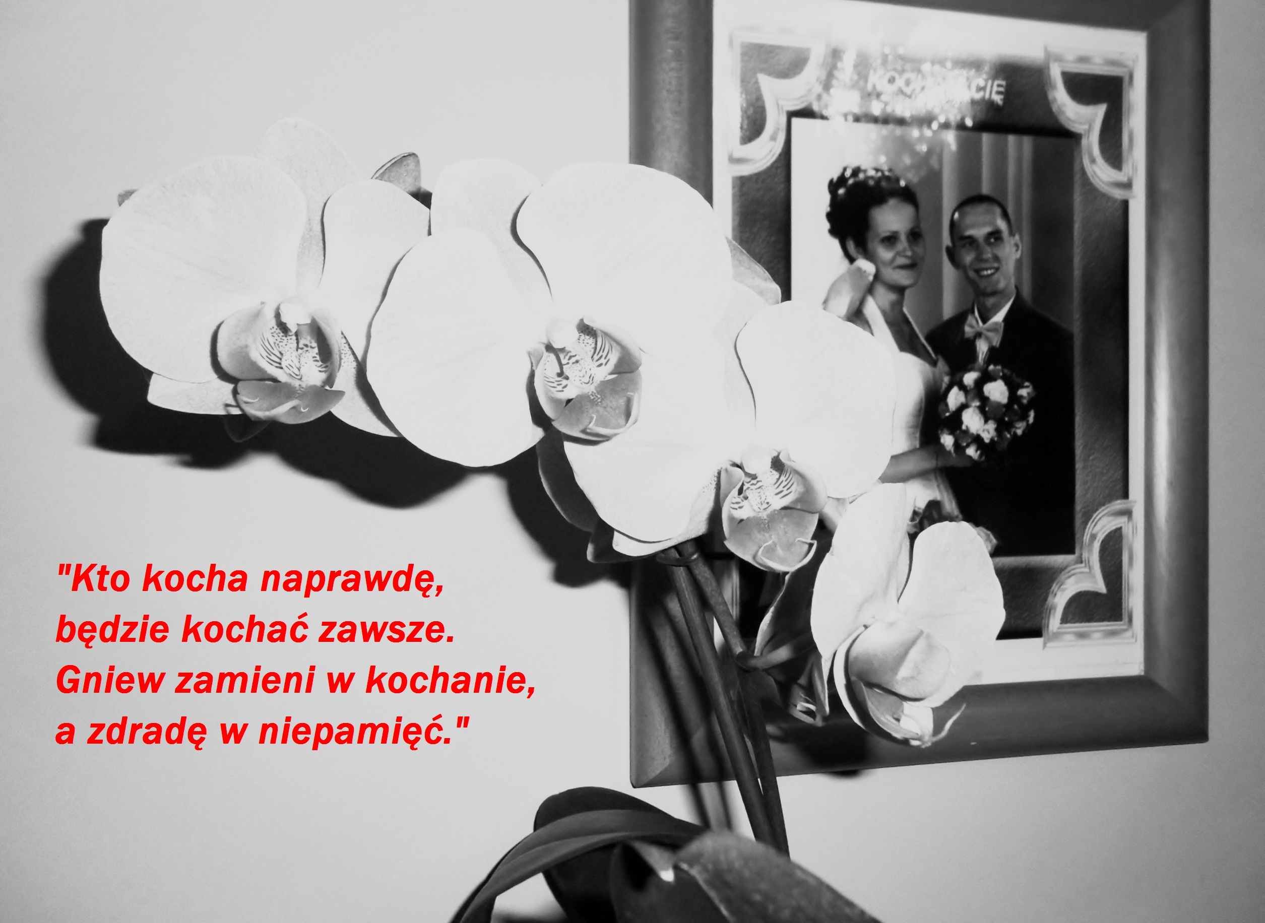 Tapeta