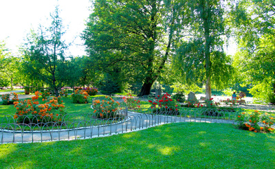 Podgląd