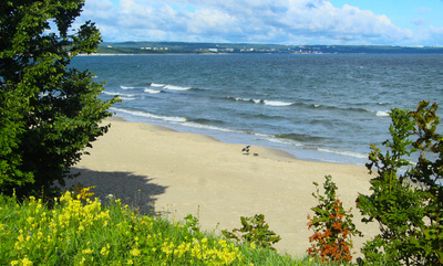 Podgląd